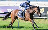 Viddora Gives Us Our First Group 1 Success