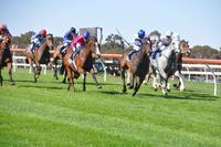 A Jolly Five at Vignerons Cup Day