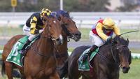 Exciting galloper Behemoth turns luck around in the Listed Penny Edition Stakes