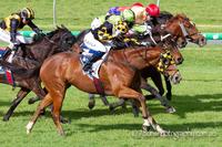 Bajan Scores Eighth Career Win!