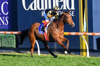 Giant Galloper Behemoth wins Memise Stakes
