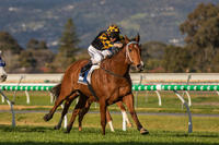 Behemoth blitzes in Group 3 Spring Stakes
