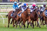 Thompson's Reward win the $100k Riziz Series Final