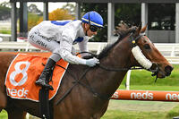 Streetcar Stranger gives Kah four at Caulfield