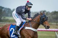Sir Wolf breaks his maiden impressively