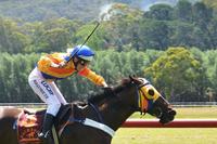 Ten Times loves Healesville