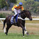 Wanion wins on Australia Day