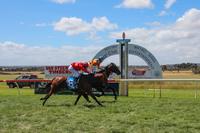 The Charmer breaks through for his maiden win