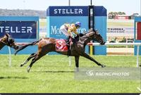 Black Bliss breaks maiden in style