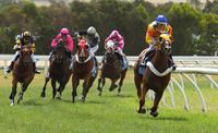 Nankervis brings in the new year with a 11 length victory!