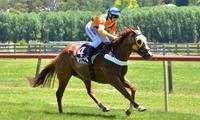 New Kid On The Block – NANKERVIS