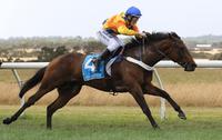 2018/19 Woolamai Picnic Horse of The Year & Picnic Trainer of the Year