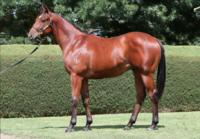 Lot 190 is the word on the street, Boss!