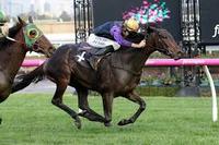 Moloney Racing Looking Forward To New Season!