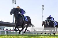 Sir Gawain Turns Around Stable Luck
