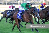 Sir Harald Storms Home at Pakenham