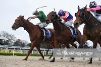 Bromes Recoups Form