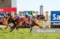 Sir Harald Salutes at Sale