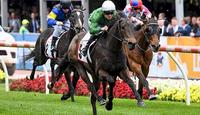 Fine Feelings on Cox Plate Day