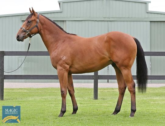 Reset X Tango Amigo