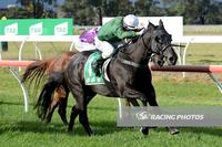 Black Opal Swims at Werribee