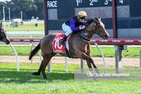 Maddox Breaks Maiden at Moe