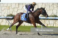 Milton Park Dominates at Pakenham