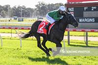 Childs Salutes on Black Opal
