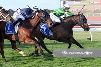 Sunday Pray Returns to Winning Form