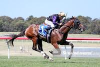 Milton Park Eyes Australian Guineas