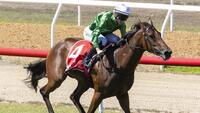 Scorched Earth Sizzles in Magic Millions SA 2YO Classic