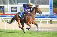 Maddox Bolts in at Ballarat
