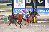 Highly Righteous Impresses in Strong Maiden Win