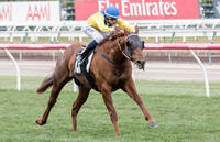 Darren Weir announces Sooboog's retirement from racing