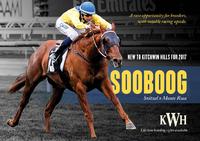 Sooboog Stallion Brochure