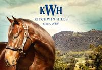 From The Paddock - Inglis Easter Yearling Sale Preview