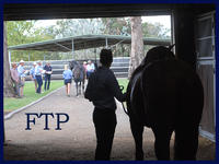 From The Paddock - 10th March 2017