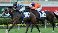 Counterattack to join the Kitchwin Hills roster for 2017