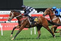 Snippets & Redoute’s Choice stallion Counterattack heads to Kitchwin