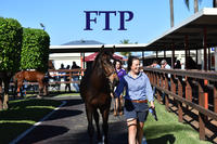 From The Paddock
