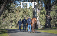 From The Paddock
