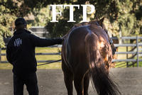 From The Paddock