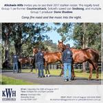 Kitchwin Hills 2017 Stallion Parade