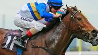 Manageress Back On Track for Spring Success