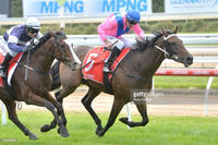 Rex takes a tilt at the St Leger