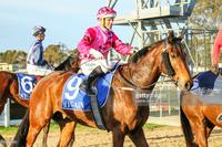 Midweek Raid at Sandown