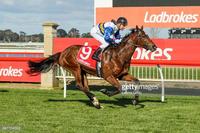 Girls Day Out at Flemington