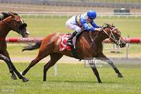 Oaks Day at Pakenham