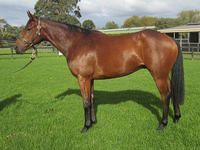 Cranbourne Night out for the 3YO’s