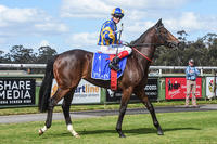Sizzleme Heads for Caulfield